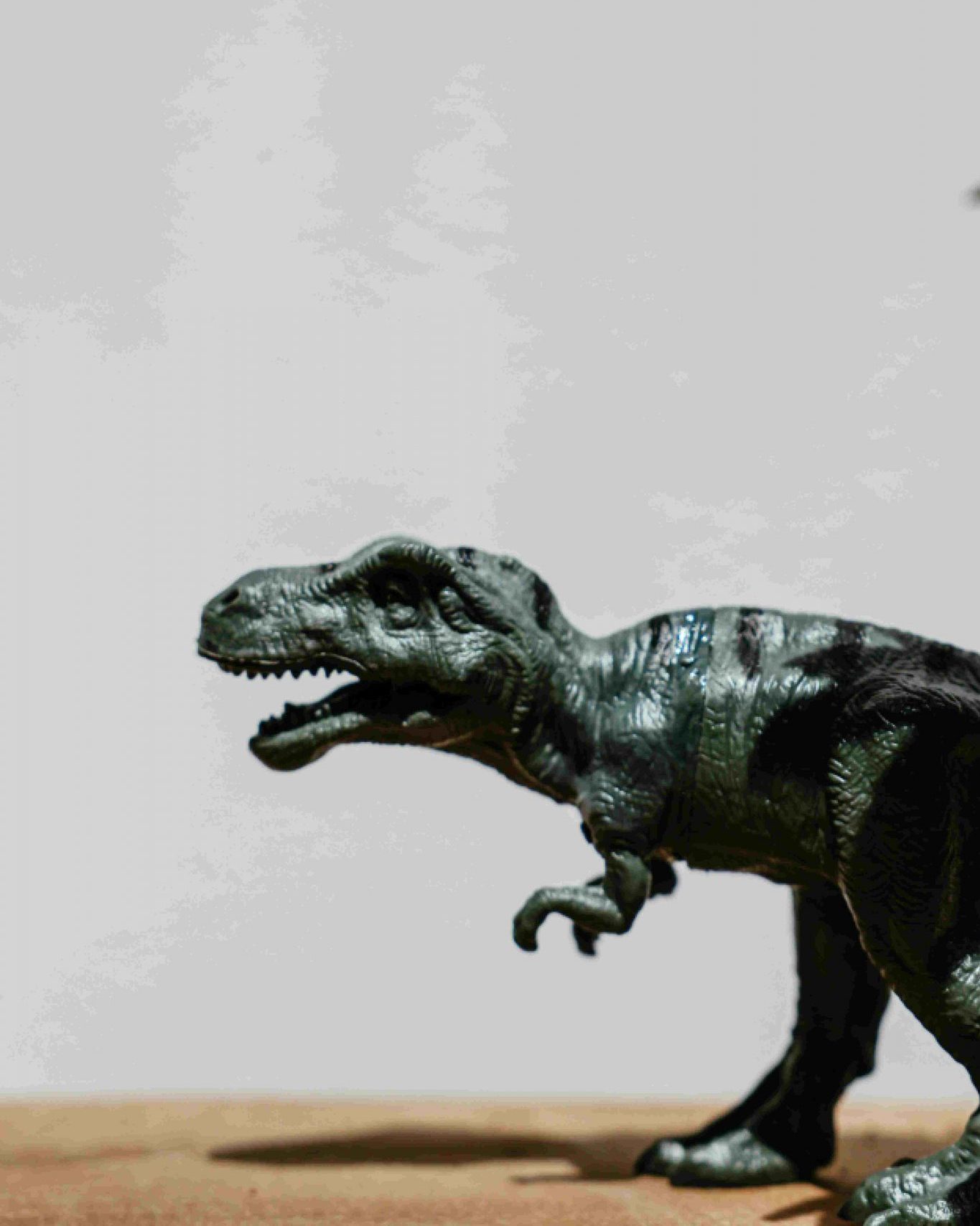 Für immer Kreidezeit? Hinter marodierenden Kulissen einer Fachkultur