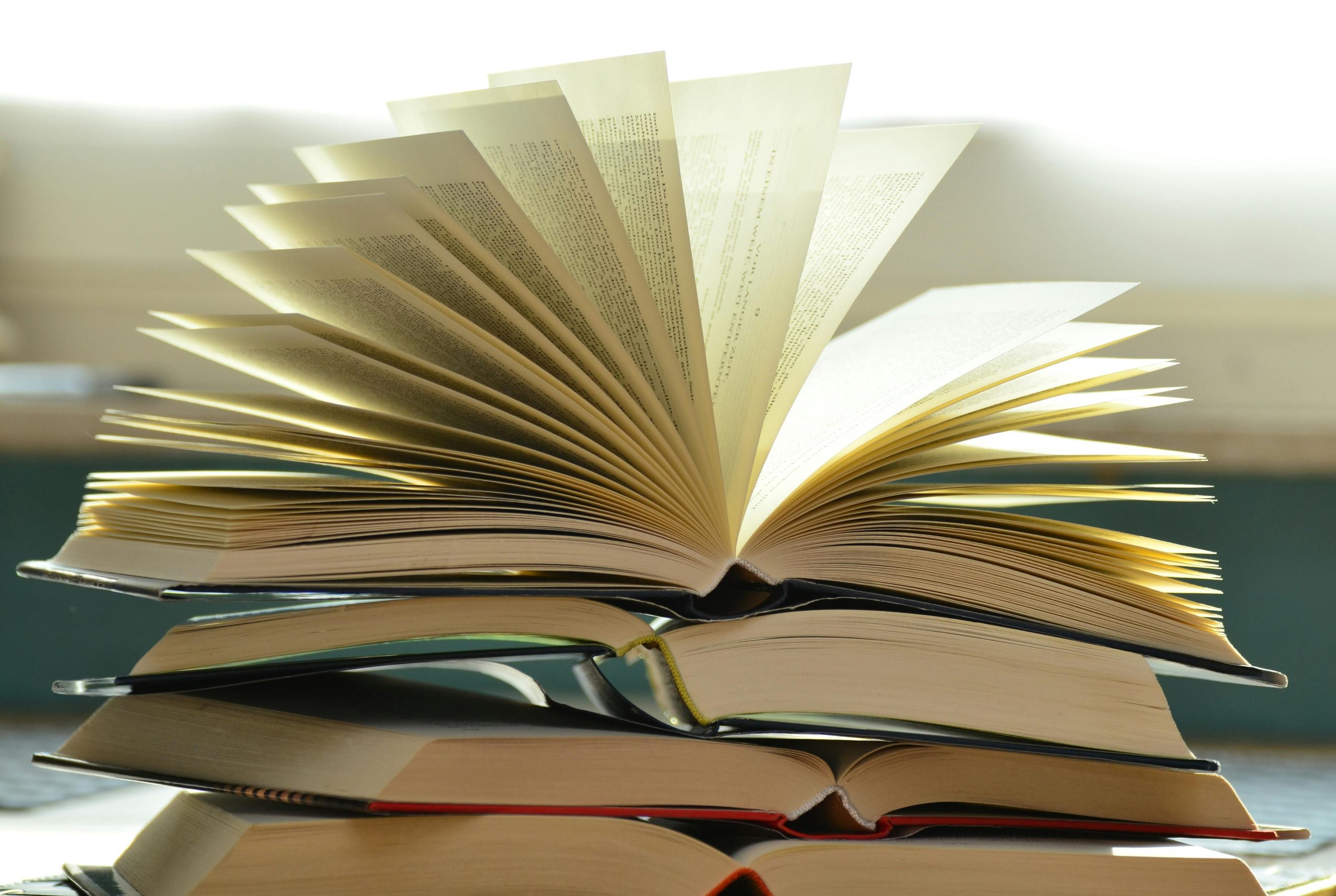 Literatur erobert die Stadt