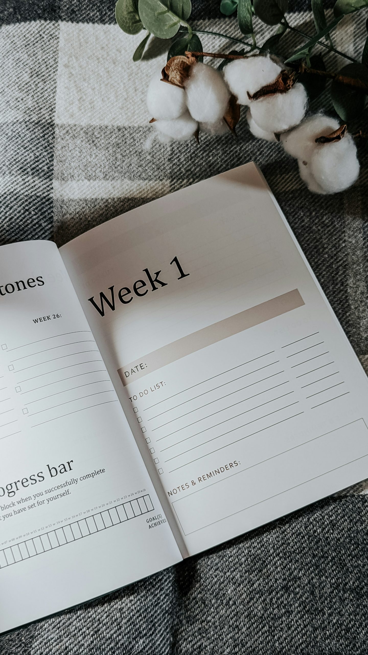 Study like a pro: Dein eigener Stundenplan